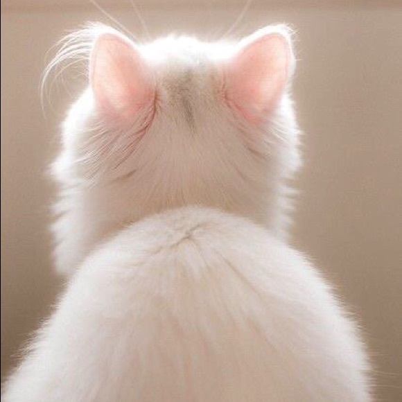 Meet your Posher, La - Picture 1 of 1